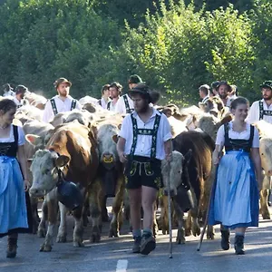 Staufen Oberstaufen